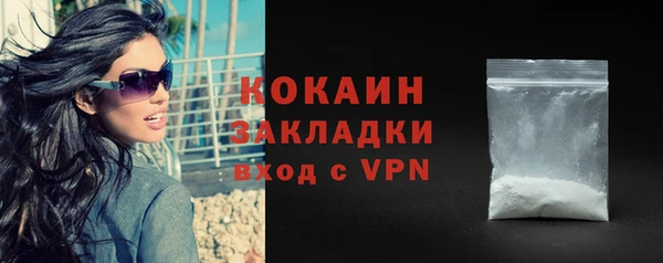 сатива Абаза