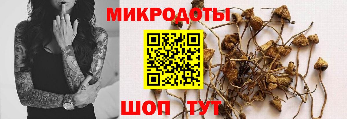Галлюциногенные грибы Cubensis Моршанск