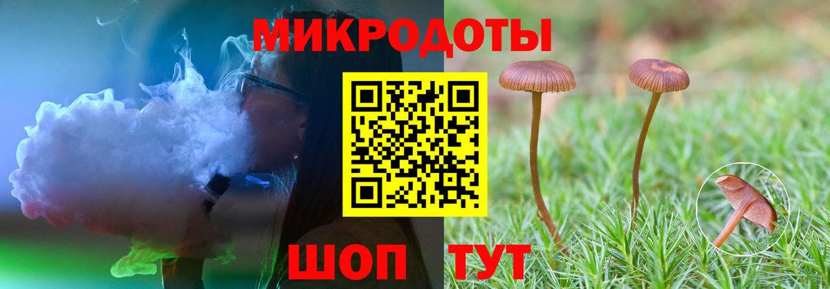 Моршанск  Псилоцибиновые грибы Cubensis  Вход с VPN 